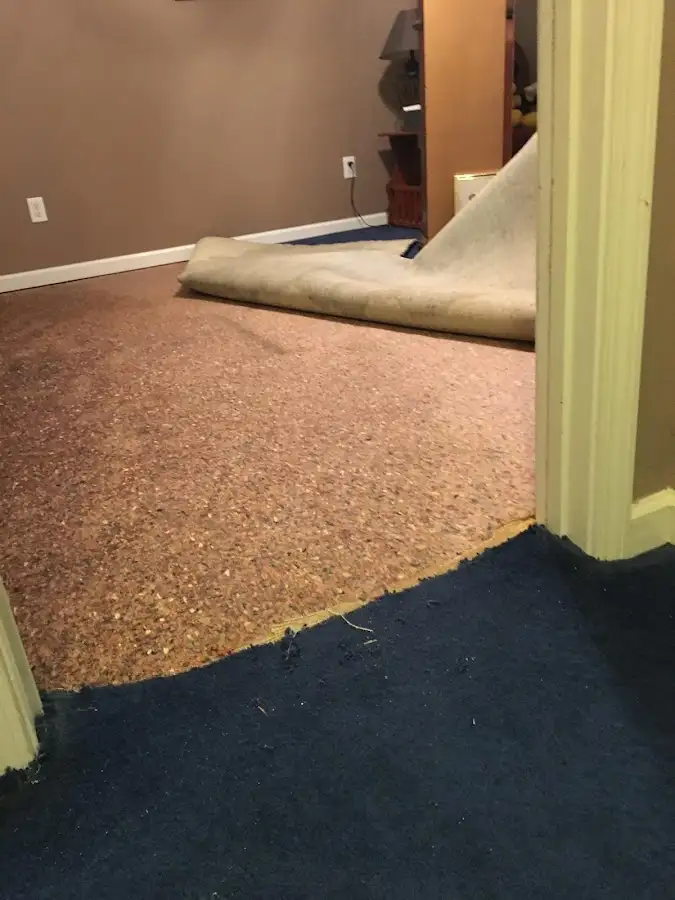 Carpet pad removal revealing water damage during Water Mitigation Services in Ypsilanti