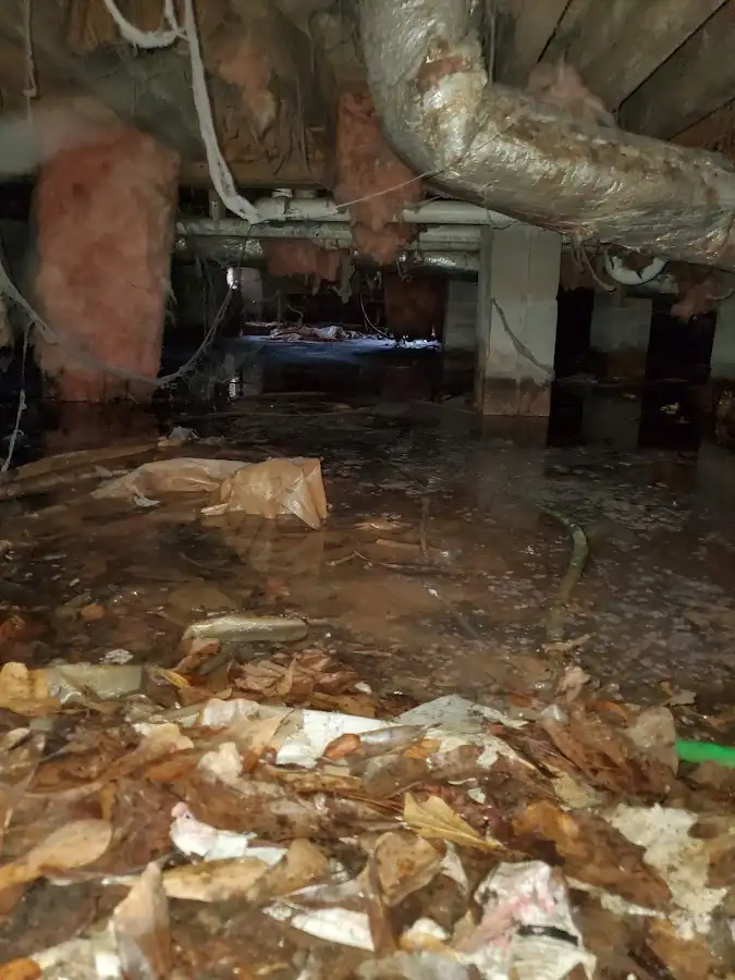 Crawl space flood assessment for Commercial Water Damage Restoration in Ypsilanti