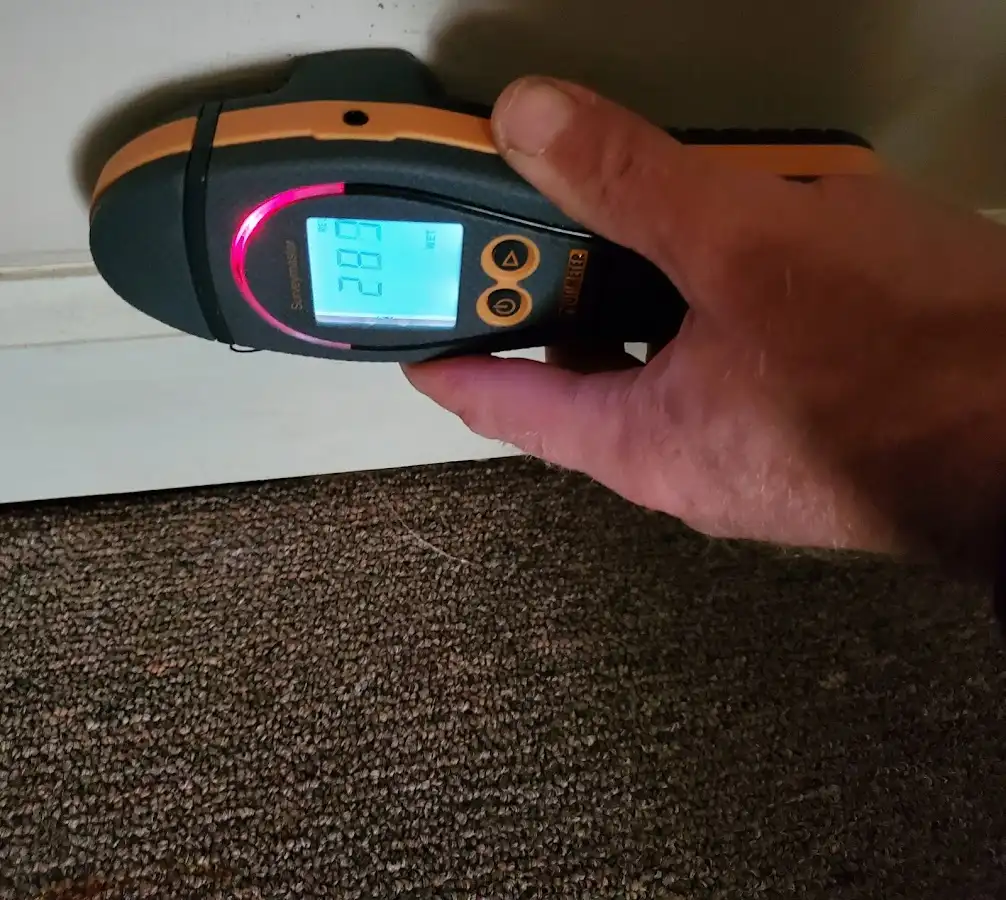 Moisture detection at baseboard during Sewage Cleanup & Sanitation in Ypsilanti